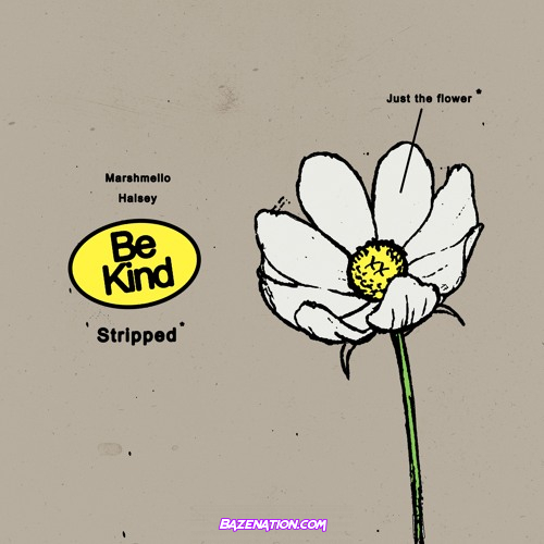 Marshmello & Halsey - Be Kind (Stripped) Mp3 Download