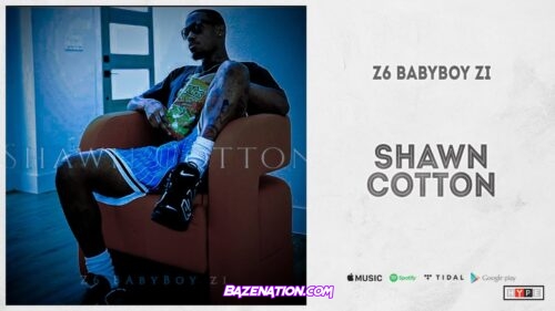 Z6 BabyBoy Zi - Shawn Cotton Mp3 Download