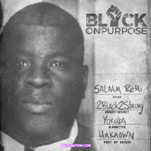 DOWNLOAD ALBUM: Salaam Remi – Black On Purpose [Zip File]