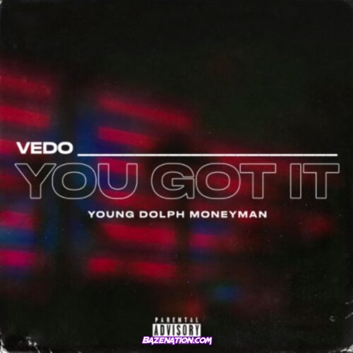 Vedo - You Got It (Remix) ft. Young Dolph x Money Man Mp3 Download