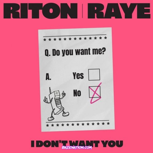 Riton & RAYE – I Don't Want You Mp3 Download