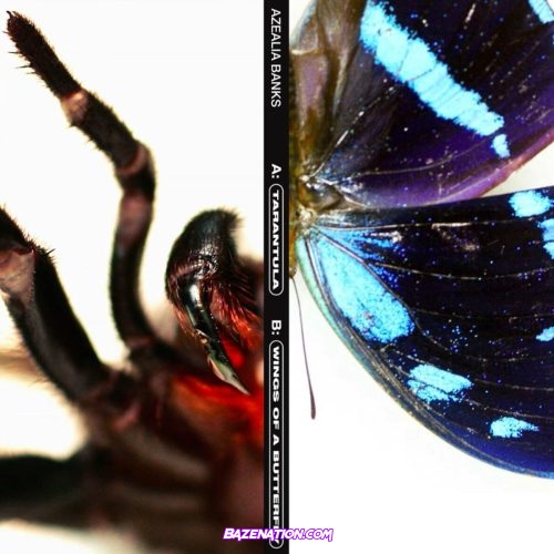 Azealia Banks - Wings of a Butterfly Mp3 Download