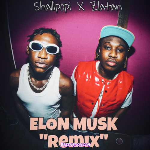 Shallipopi & Zlatan - Elon Musk (Remix)