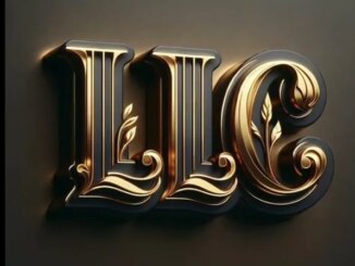 Lupe Fiasco - LLC